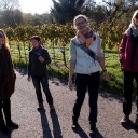 Wanderung Hessigheimer Felsengärten