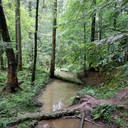 Schwäbische Waldbahn-Wanderung 2